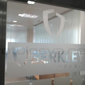 VINILO EFECTO ÁCIDO